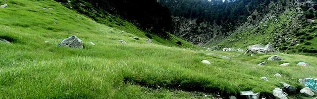 上門龍婿葉辰蕭初然_第611章 即興拍賣