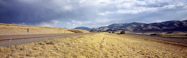 上門龍婿葉辰蕭初然_第530章 全網第一熱門！