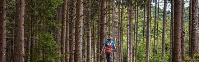 上門龍婿葉辰蕭初然_第3348章 趕緊辦正事！