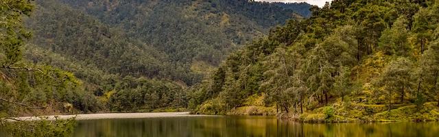 上門龍婿葉辰蕭初然_第3125章 好自為之吧