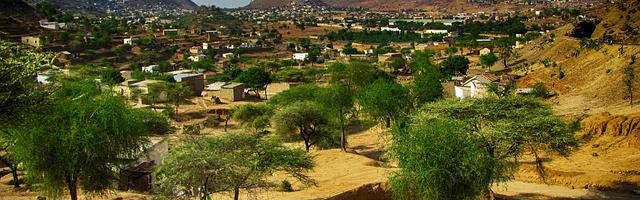 上門龍婿葉辰蕭初然_第467章 尊稱您為葉大師