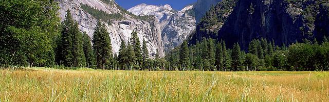 上門龍婿葉辰蕭初然_第2422章 費小姐要來拜訪