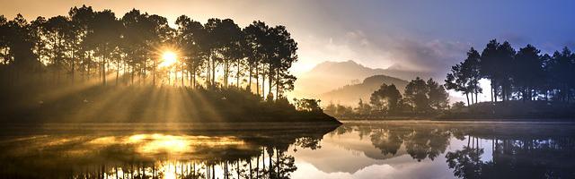 上門龍婿葉辰蕭初然_第3200章 地網