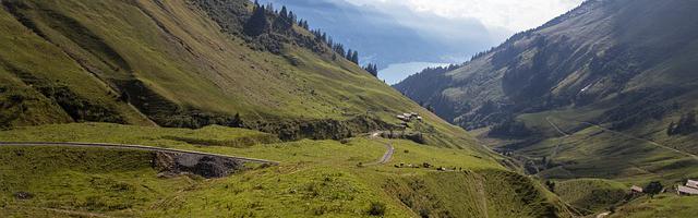 上門龍婿葉辰蕭初然_第882章 松本良人