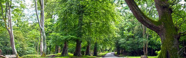 上門龍婿葉辰蕭初然_第2690章 提前泄密