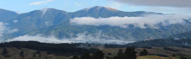 都市神醫葉辰很囂張_第12311章 四神獸（三合一）