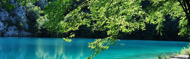 上門龍婿葉辰蕭初然_第83章 宋婉婷親自迎接