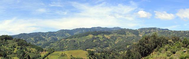 上門龍婿葉辰蕭初然_第2562章 選定婚期