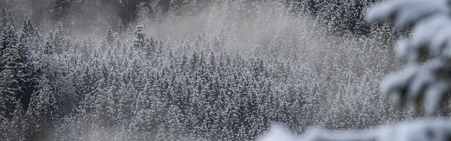 上門龍婿葉辰蕭初然_第3338章 有你這樣的嗎？