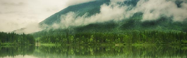 上門龍婿葉辰蕭初然_第2315章 兩大忌