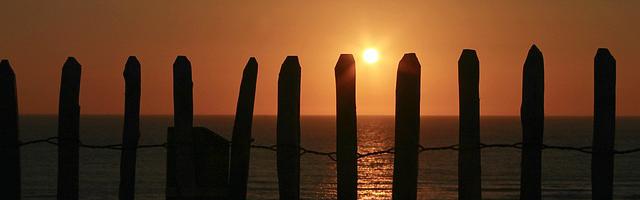 上門龍婿葉辰蕭初然_第1104章 你怎么看？