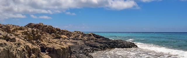 上門龍婿葉辰蕭初然_第226章 本性難移