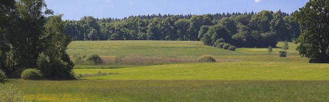 上門龍婿葉辰蕭初然_第3160章 十年之約