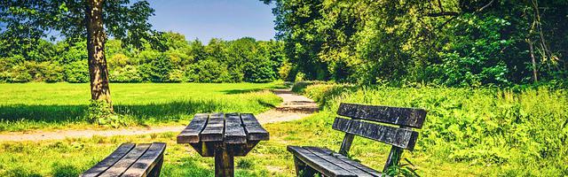 上門龍婿葉辰蕭初然_第2919章 你能辦到嗎？