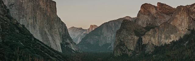 上門龍婿葉辰蕭初然_第2521章 覆巢計劃