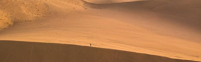 上門龍婿葉辰蕭初然_第310章 送你十二響！