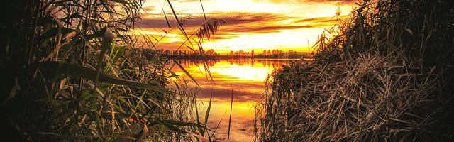 上門龍婿葉辰蕭初然_第9章 大逆不道