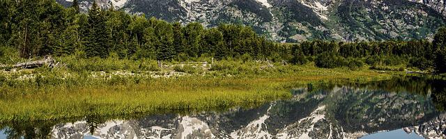 上門龍婿葉辰蕭初然_第2887章 另有其人