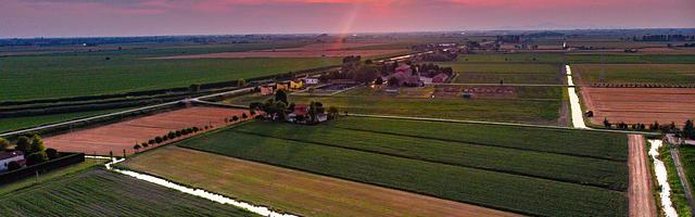 上門龍婿葉辰蕭初然_第725章 他真的在心疼！