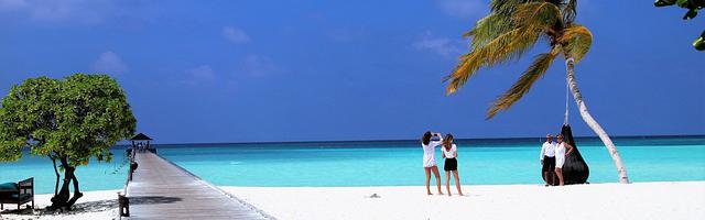 上門龍婿葉辰蕭初然_第3141章 做大做強