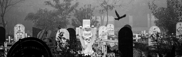 上門龍婿葉辰蕭初然_第1087章 假裝一下