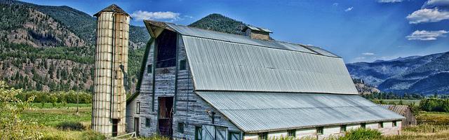 上門龍婿葉辰蕭初然_第650章 那我今天就成全你！