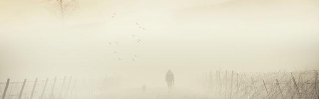 上門龍婿葉辰蕭初然_第2798章 死而無憾