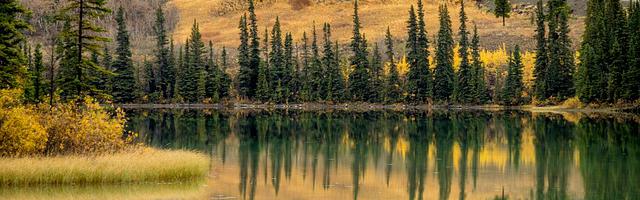 上門龍婿葉辰蕭初然_第2020章 求您給我一個機會