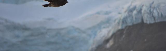 上門龍婿葉辰蕭初然_第2186章 實在是高！