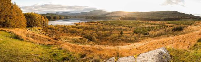 上門龍婿葉辰蕭初然_第48章 狗男女