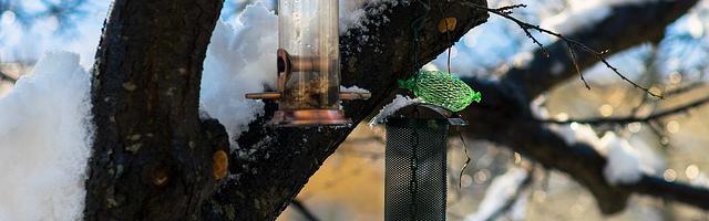 上門龍婿葉辰蕭初然_第873章 徹底鏟除伊藤家族