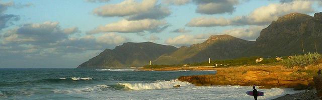 上門龍婿葉辰蕭初然_第288章 把他找出來！