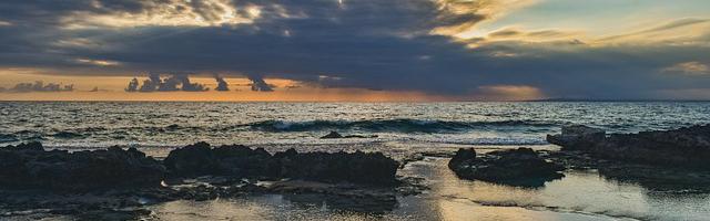 上門龍婿葉辰蕭初然_第371章 讓劉廣先跑一會兒