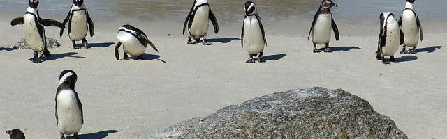 上門龍婿葉辰蕭初然_第985章 搬起石頭，砸自己的腳