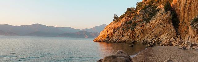 上門龍婿葉辰蕭初然_第379章 往死里羞辱！