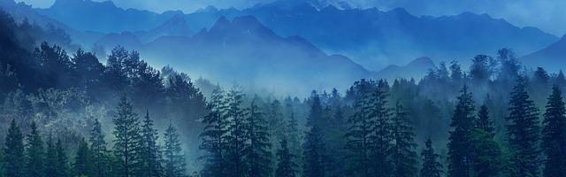 上門龍婿葉辰蕭初然_第2348章 停職調查