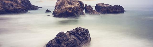 上門龍婿葉辰蕭初然_第320章 你老婆跟人私奔了！