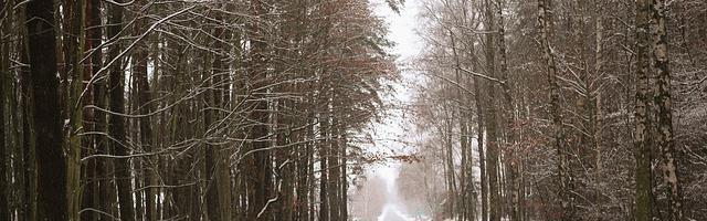 上門龍婿葉辰蕭初然_第233章 不要白費功夫了！