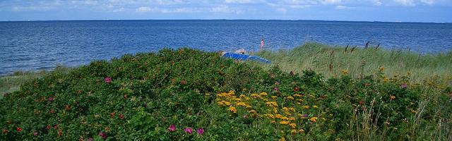 上門龍婿葉辰蕭初然_第410章 禁止入內！