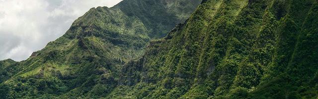 上門龍婿葉辰蕭初然_第3114章 一看一個不出聲