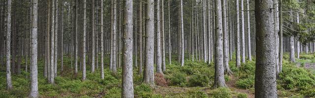上門龍婿葉辰蕭初然_第3139章 誰也別嫌棄誰