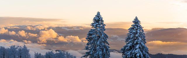 上門龍婿葉辰蕭初然_第1635章 丹成！