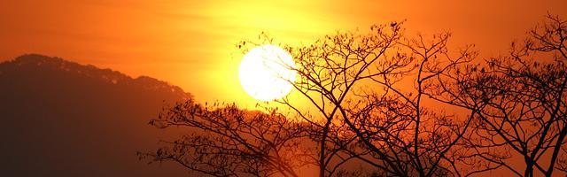 上門龍婿葉辰蕭初然_第2608章 絕不姑息