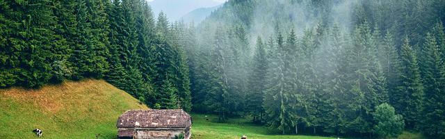 上門龍婿葉辰蕭初然_第1239章 找到突破口