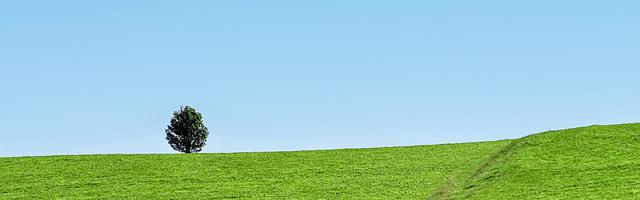 上門龍婿葉辰蕭初然_第3187章 媽媽你可一定要救我們