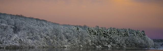 上門龍婿葉辰蕭初然_第237章 我是燕京葉家大少！