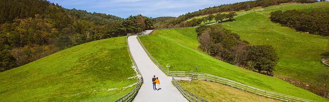 上門龍婿葉辰蕭初然_第1893章 該動手了！