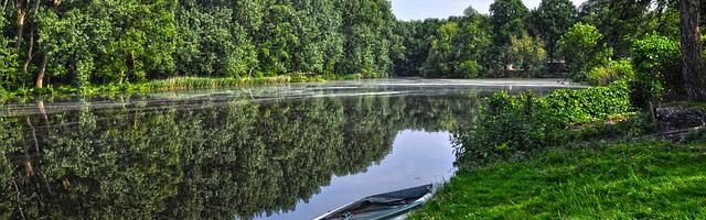 上門龍婿葉辰蕭初然_第464章 信不信我抽你？