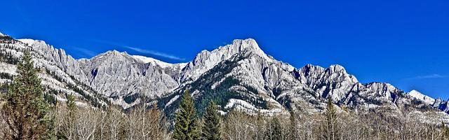 上門龍婿葉辰蕭初然_第3347章 繳械投降