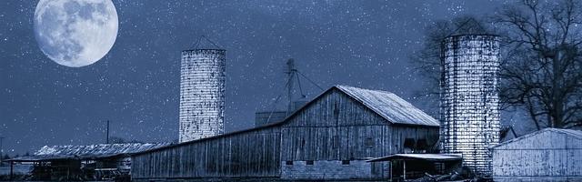 上門龍婿葉辰蕭初然_第2918章 血性